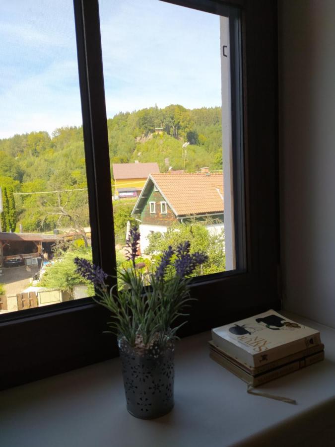 Penzion Drnovec Cvikov Esterno foto
